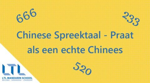 Chinese Spreektaal - Praat als een echte Chinees